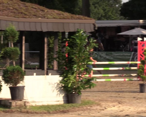 Reitturnier Datteln 2022