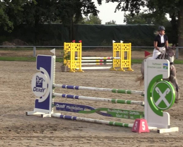 Reitturnier Datteln 2022