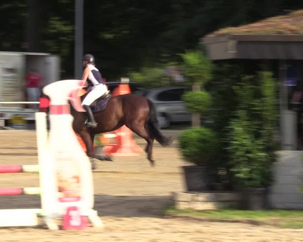 Reitturnier Datteln 2022