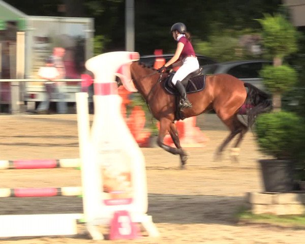Reitturnier Datteln 2022
