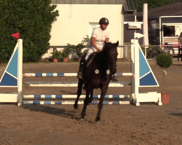 Reitturnier Datteln 2022