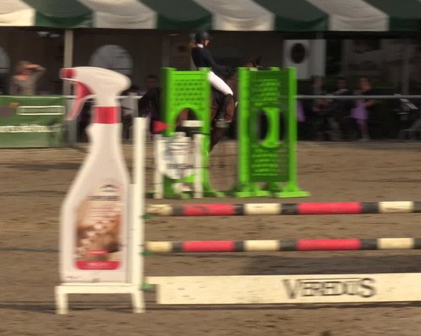 Reitturnier Datteln 2022