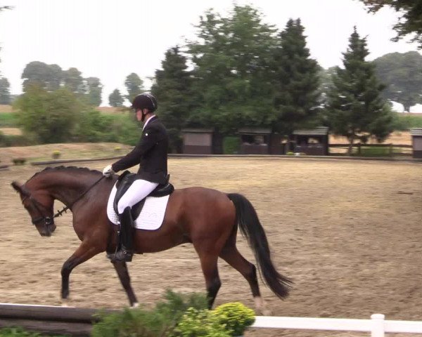 Reitturnier Datteln 2022