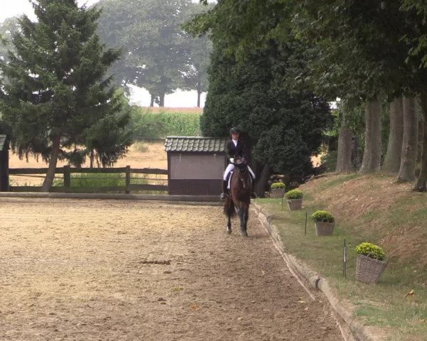 Reitturnier Datteln 2022