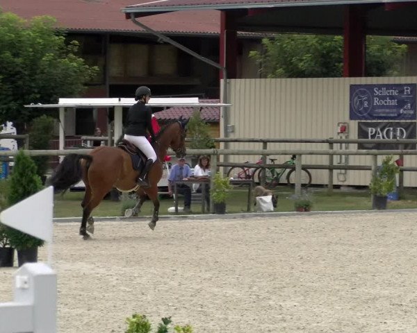 Reitturnier Dompierre 2022