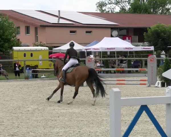 Reitturnier Dompierre 2022