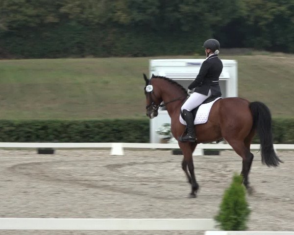 Heinsberg Classics 2022