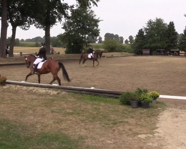 Reitturnier Datteln 2022