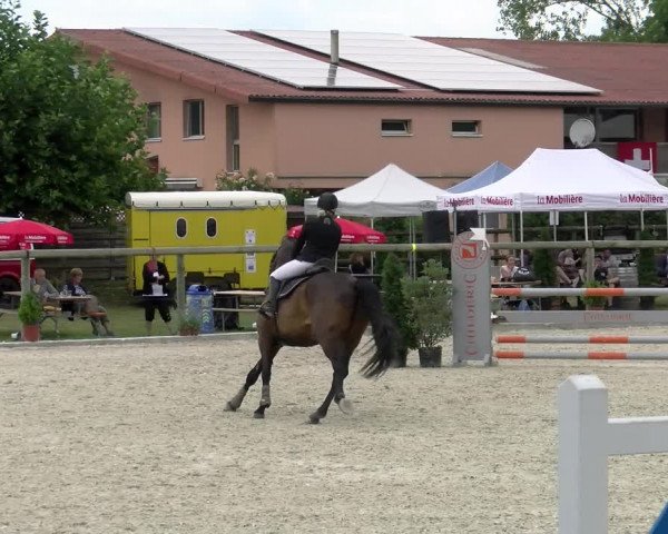 Reitturnier Dompierre 2022
