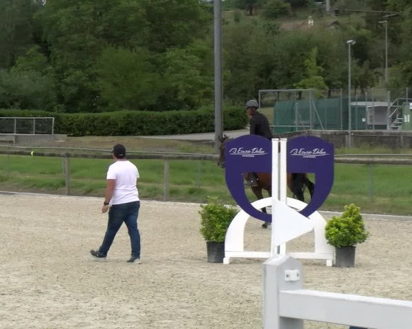 Reitturnier Dompierre 2022