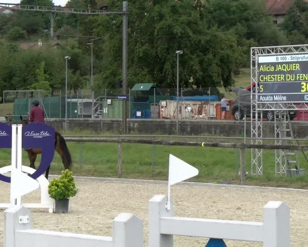 Reitturnier Dompierre 2022