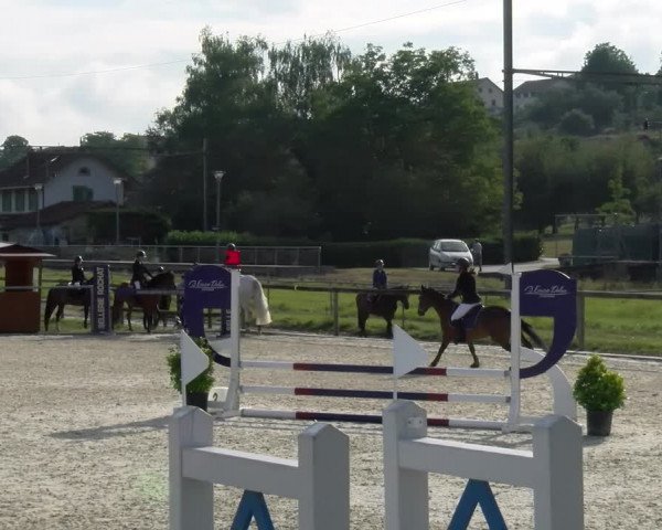 Reitturnier Dompierre 2022