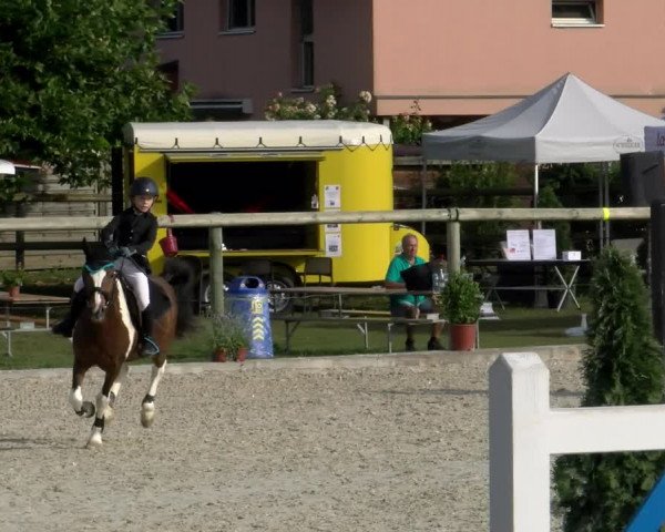 Reitturnier Dompierre 2022