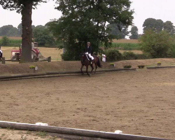 Reitturnier Datteln 2022