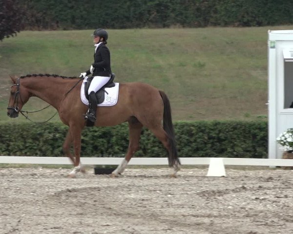 Heinsberg Classics 2022