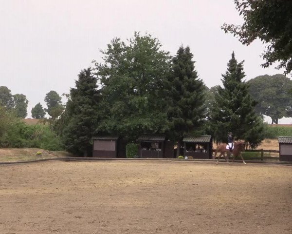 Reitturnier Datteln 2022