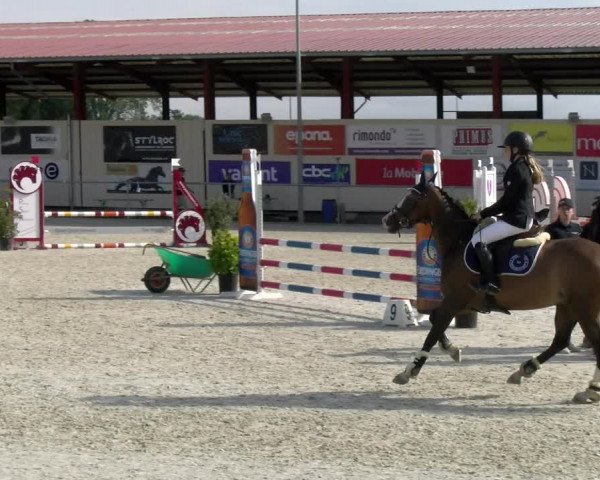 Reitturnier Dompierre 2022