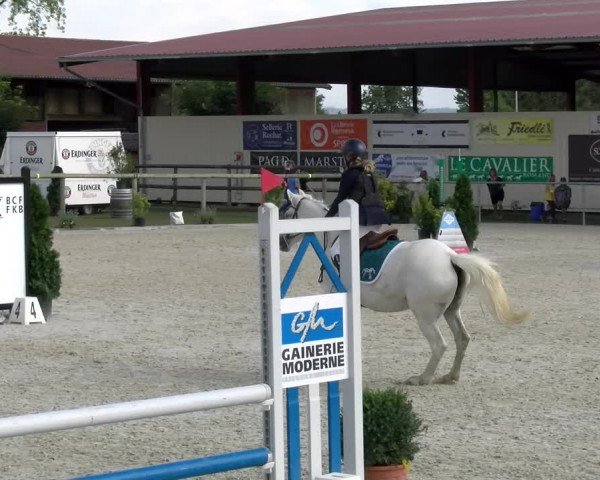 Reitturnier Dompierre 2022