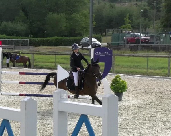 Reitturnier Dompierre 2022