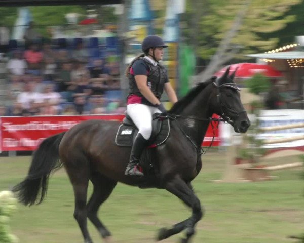 Reitturnier Aschersleben 2022
