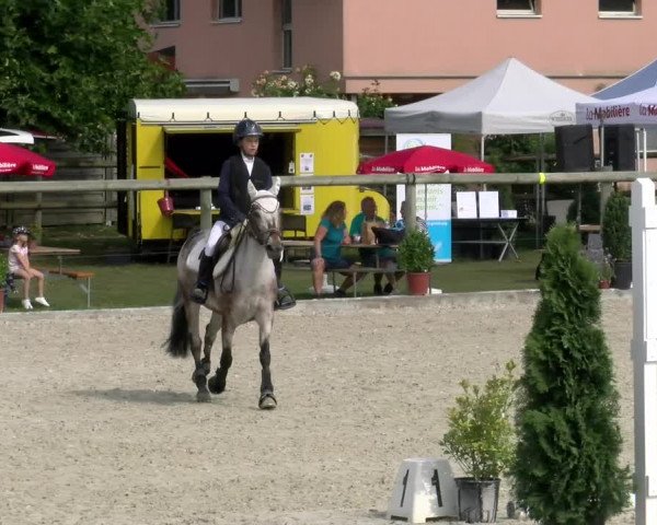 Reitturnier Dompierre 2022