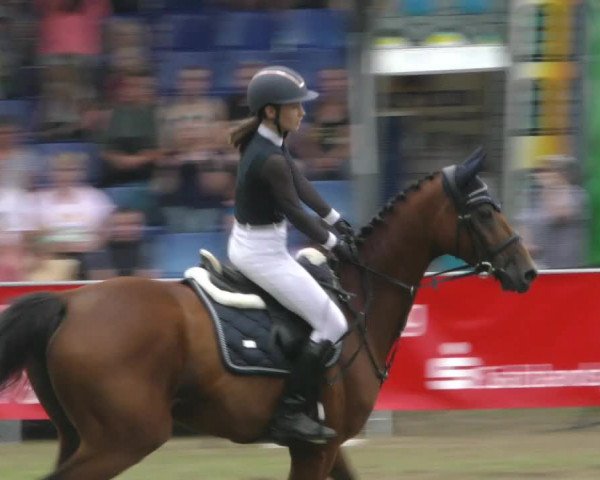 Reitturnier Aschersleben 2022