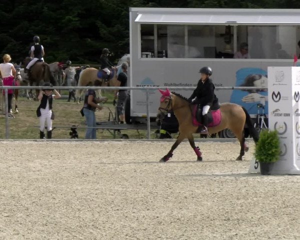 Reitturnier Dompierre 2022