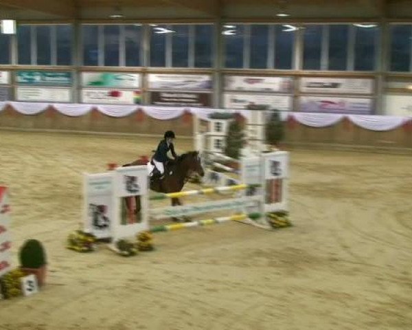 jumper Smilla 25 (Oldenburg, 2002, from Sunny-Boy)