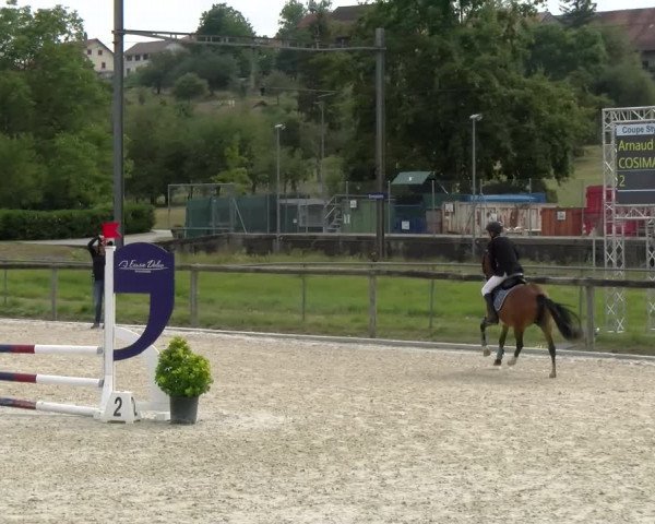 Reitturnier Dompierre 2022