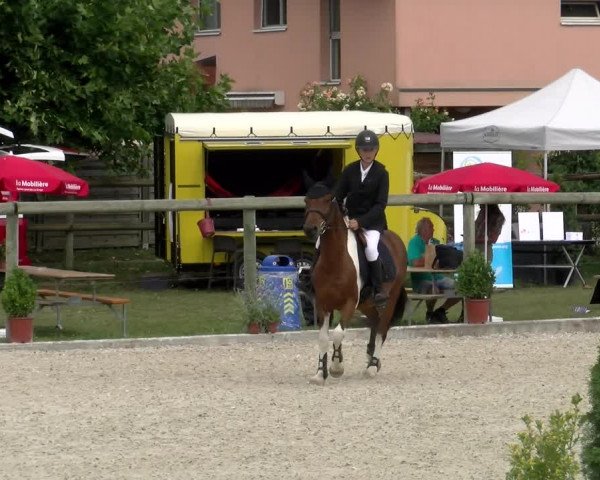Reitturnier Dompierre 2022