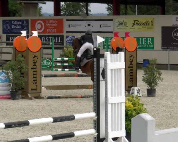 Reitturnier Dompierre 2022