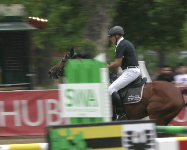 Reitturnier Aschersleben 2022