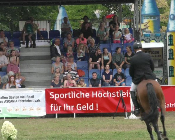 Reitturnier Aschersleben 2022