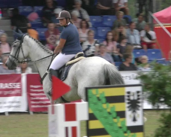 Reitturnier Aschersleben 2022