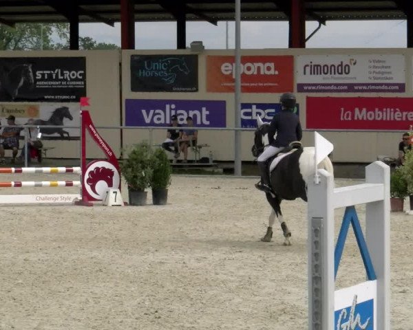 Reitturnier Dompierre 2022