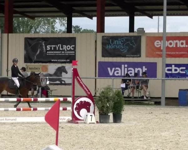 Reitturnier Dompierre 2022