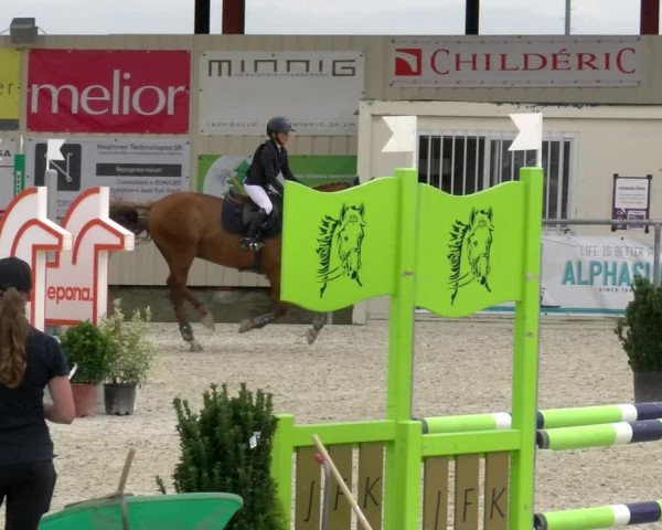 Reitturnier Dompierre 2022