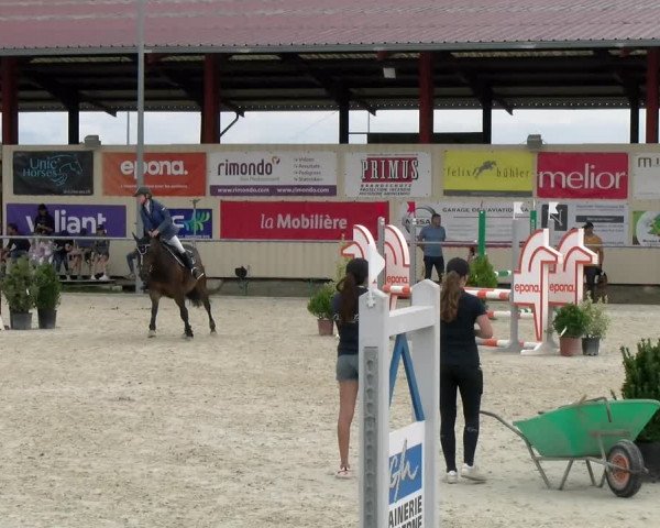 Reitturnier Dompierre 2022