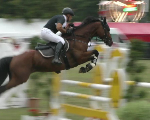 Reitturnier Aschersleben 2022