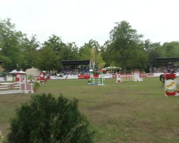 Reitturnier Aschersleben 2022