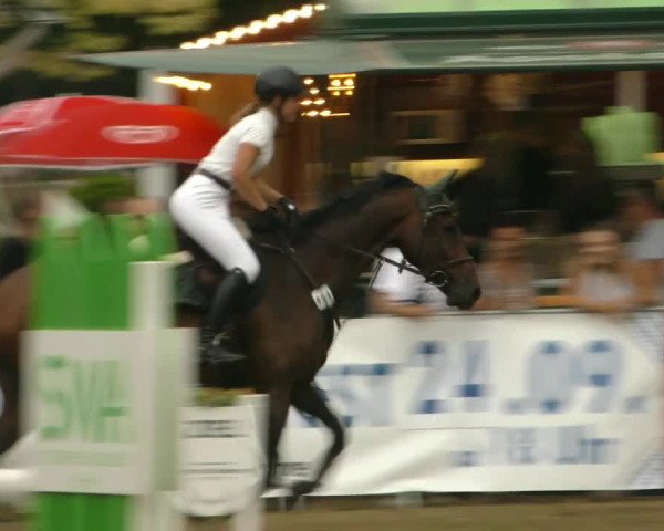 Reitturnier Aschersleben 2022