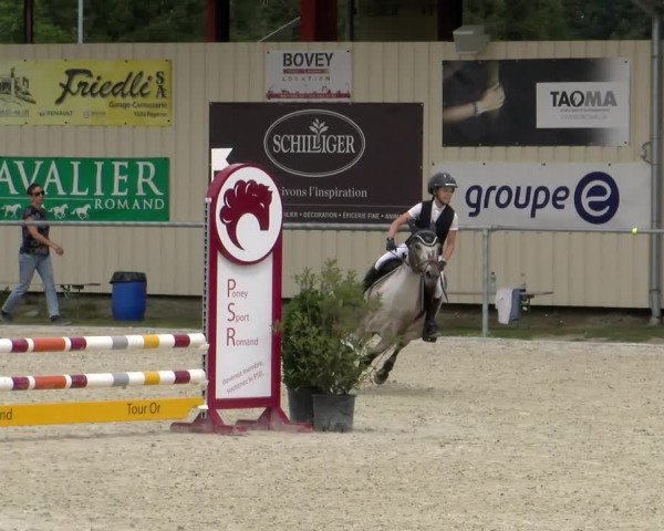 Reitturnier Dompierre 2022