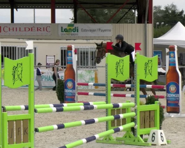 Reitturnier Dompierre 2022
