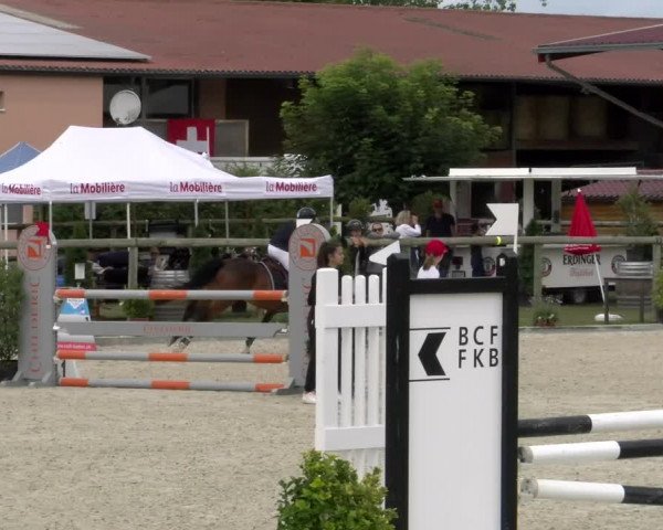 Reitturnier Dompierre 2022