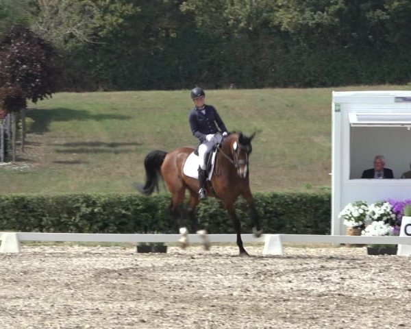 Heinsberg Classics 2022