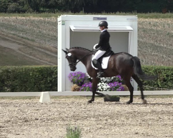 Heinsberg Classics 2022