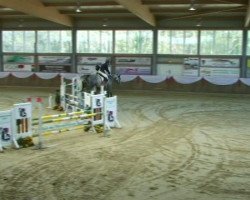 jumper Blue Apple (KWPN (Royal Dutch Sporthorse), 2006, from Cartano)