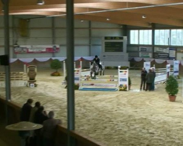 Springpferd Clooney 48 (KWPN (Niederländisches Warmblut), 2006, von VDL Cardento 933)