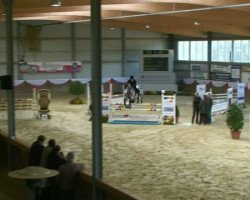 Springpferd Clooney 48 (KWPN (Niederländisches Warmblut), 2006, von VDL Cardento 933)