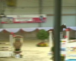 jumper Balou M (Rhinelander, 2007, from Balou du Rouet)